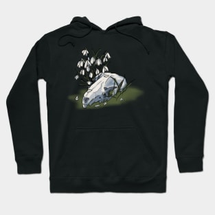 Snowdrop Falls Hoodie